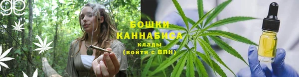 дмт Лагань