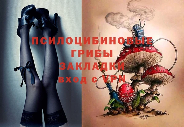 дмт Лагань
