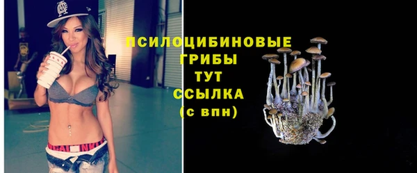 таблы Ладушкин