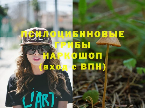 таблы Ладушкин