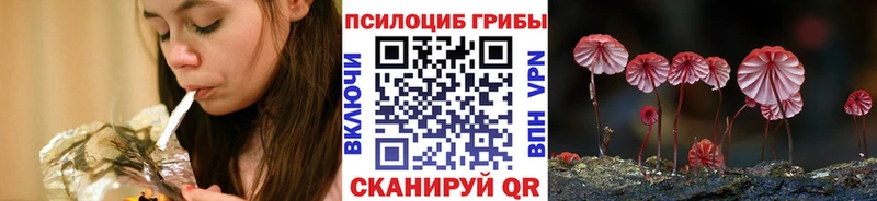 Псилоцибиновые грибы прущие грибы  Юрьевец 